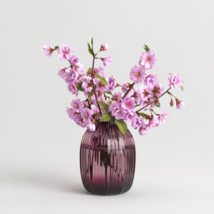 Vasos de Flores - Mais que Flores